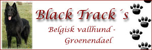 Black Track (N)