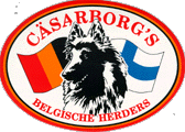 Caesarborg (FI)
