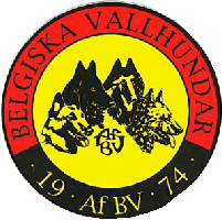 Rasklubben for belgiska Vallhundar (S)